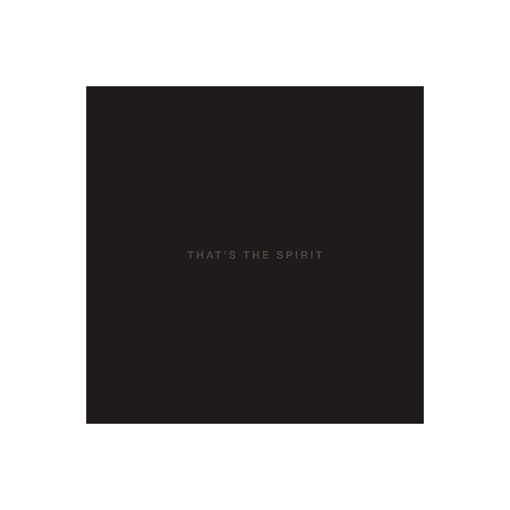 That's The Spirit - Standard CD